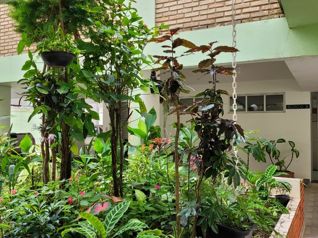 Apartamento para Venda em Ubatuba - 4